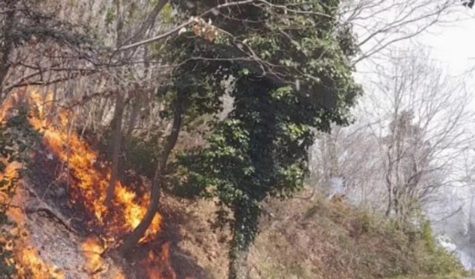 Incendio Boschivo A Dego Ancora Da Chiarire Le Cause Primocanale It