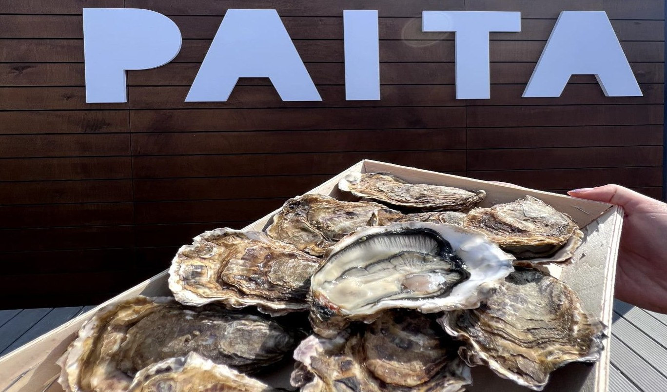 Festival dell'ostrica, alla Spezia l'evento per celebrarla: è adatta a tutti i palati