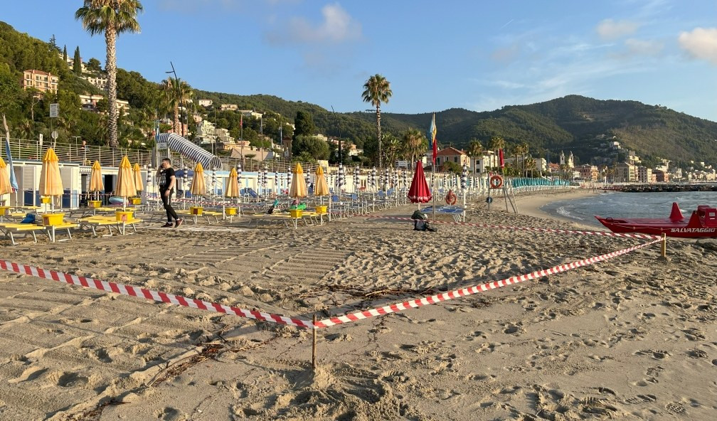 Caldo record in Liguria: boom di nidi di tartaruga nel 2025