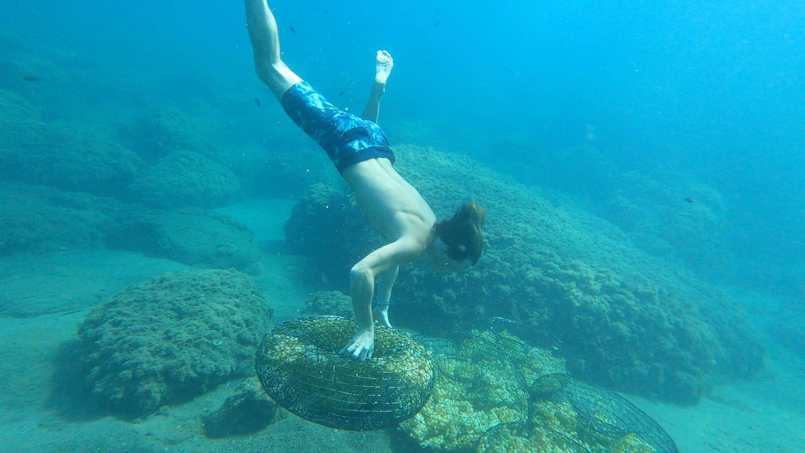 Cinque Terre, uve immerse in mare come nell’antica Grecia