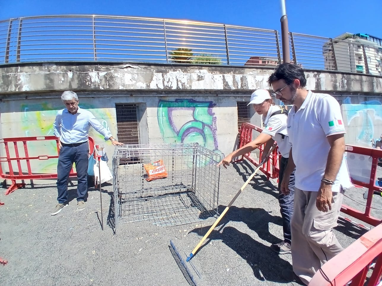 Il Gruppo Ligure Tartarughe prepara la schiusa delle uova di caretta caretta