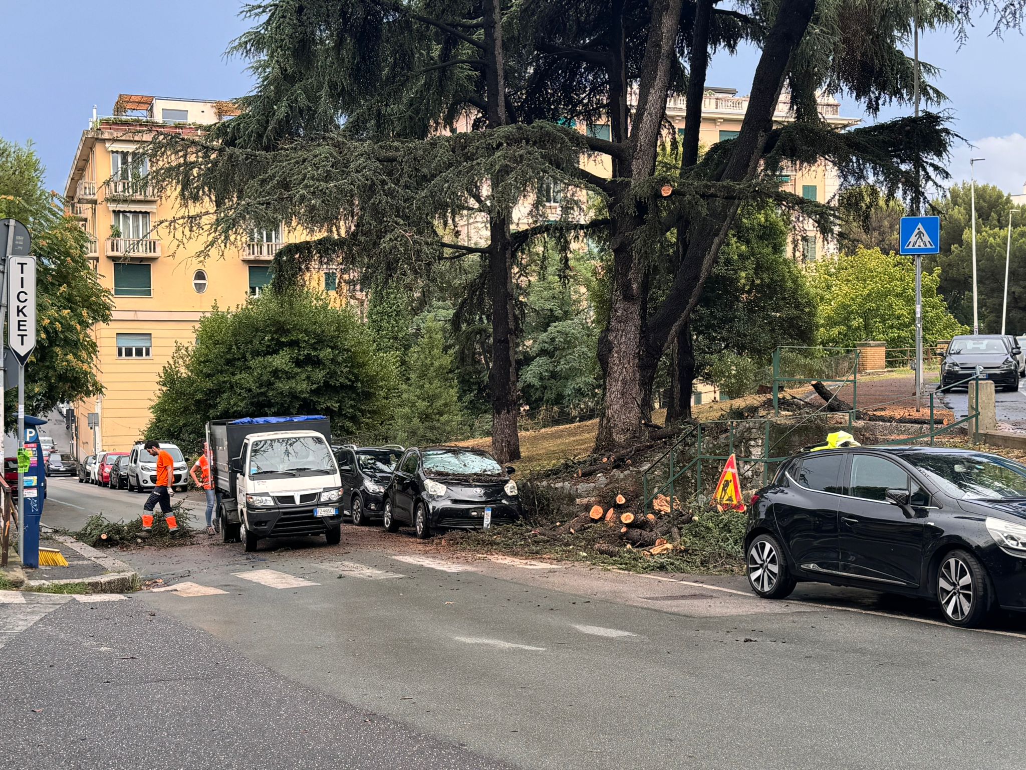 Genova, ad Albaro crollano rami da un albero sulle auto parcheggiate