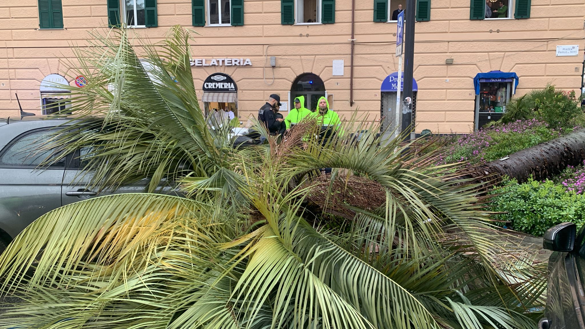 Francesca Testino morta schiacciata da una palma a Genova, l'ira dei residenti: 