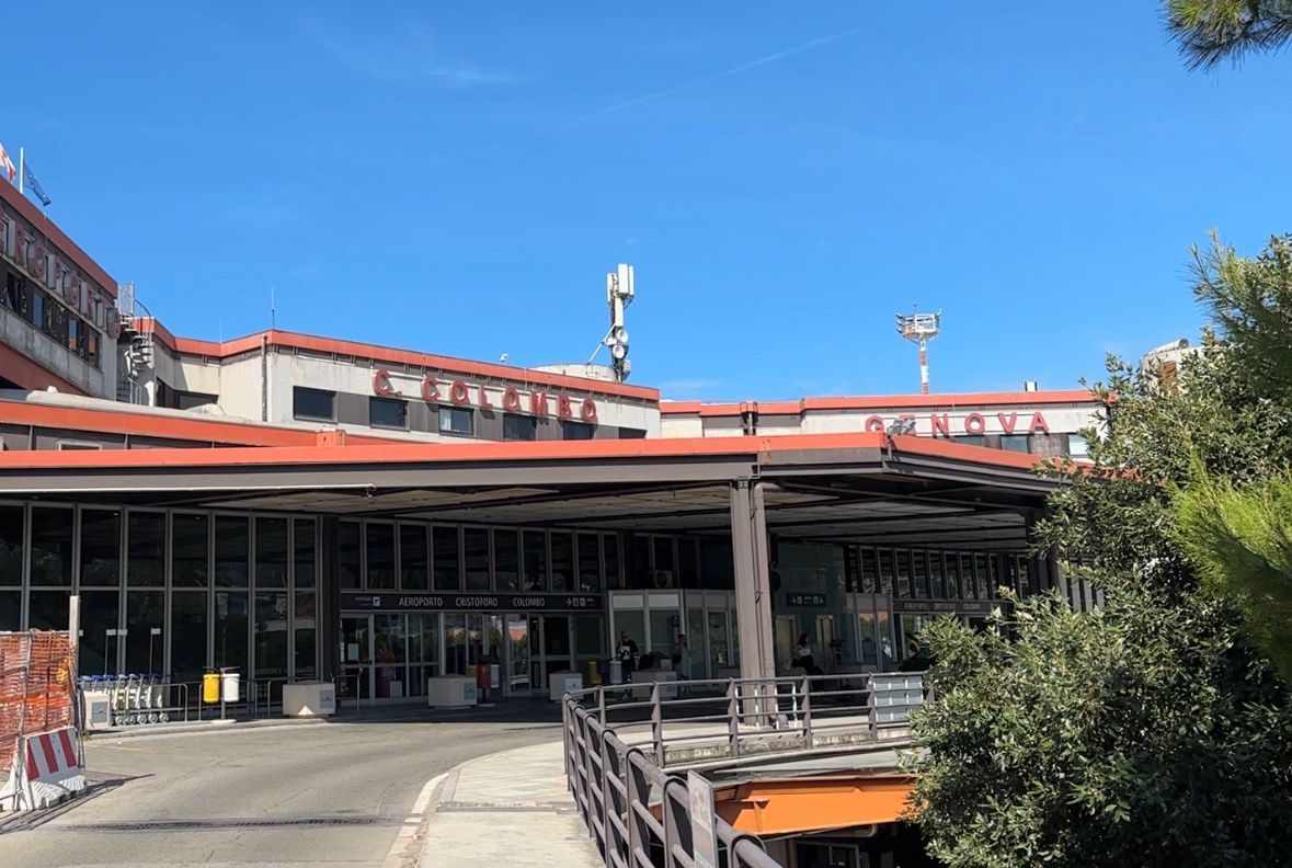 Gatto sparisce in aeroporto, i proprietari rinunciano al viaggio per ritrovarlo