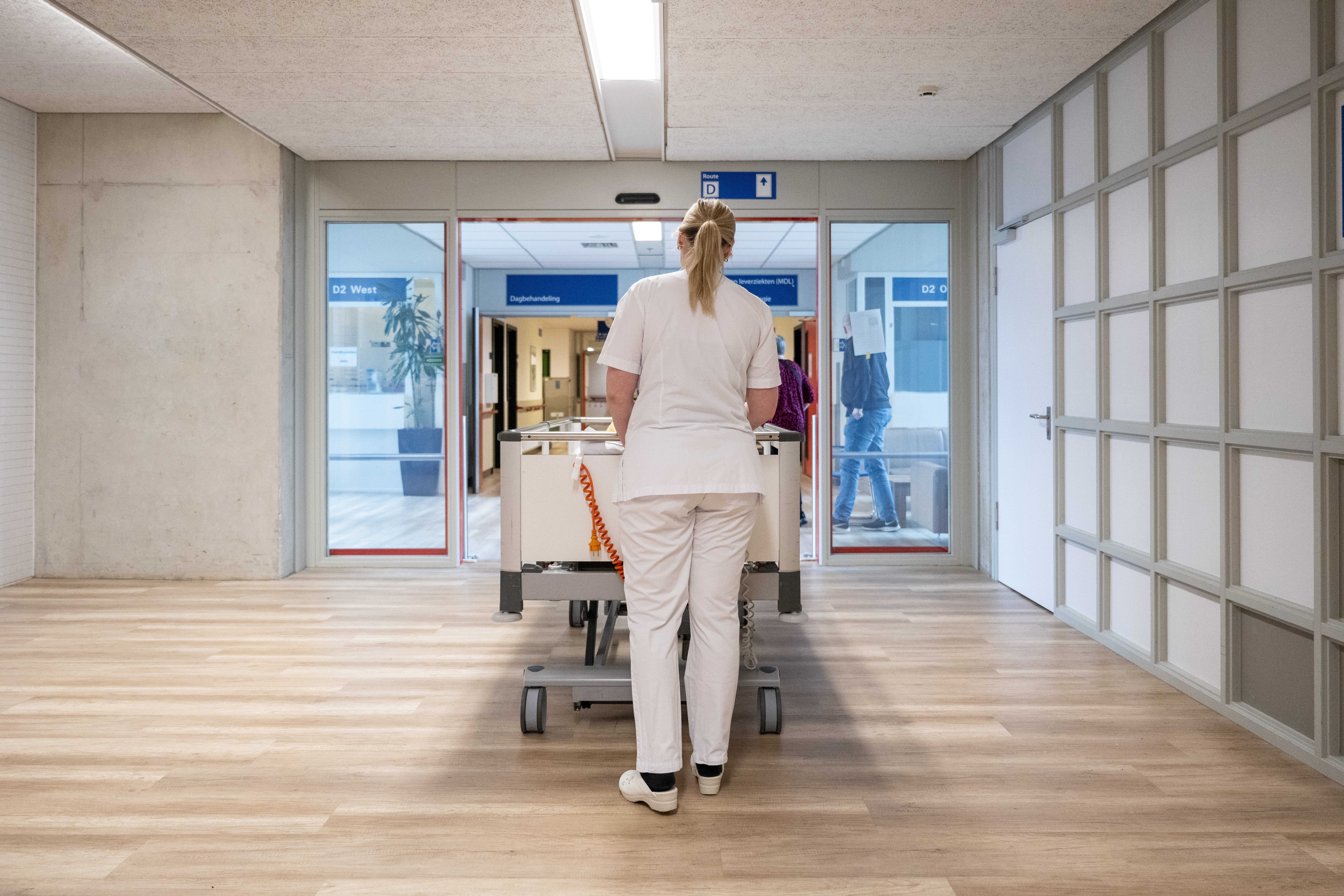 Infermieri, ass. Nicolo' risponde ad appello dell'ordine: