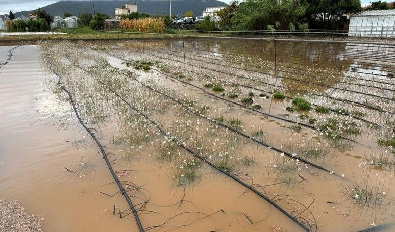 Albenga, alluvione: il consiglio approva la delibera di stato di calamità