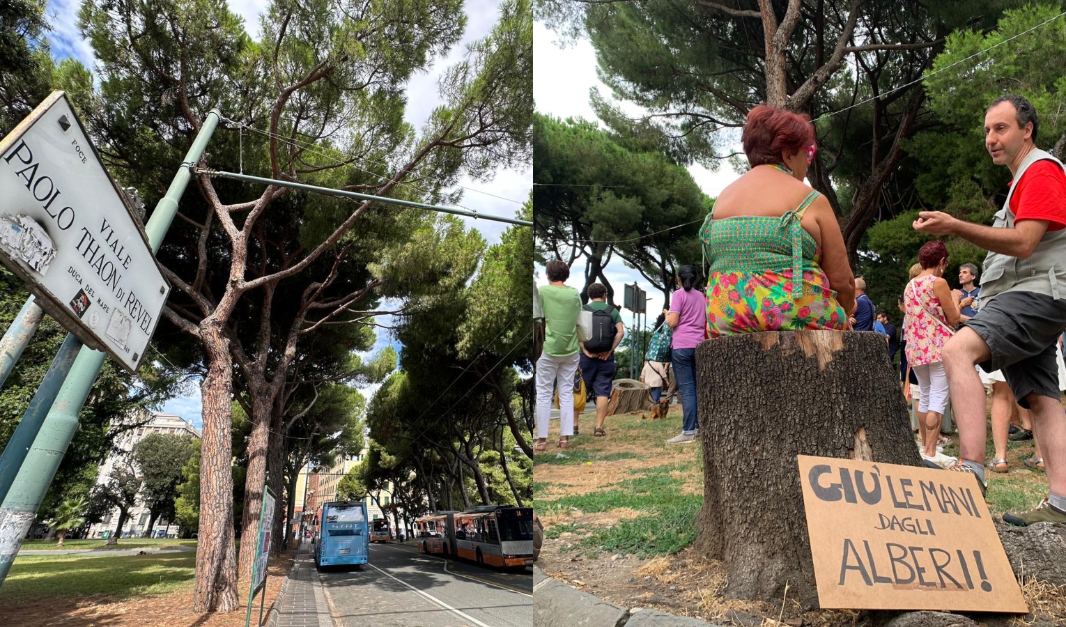 Pini di Brignole, oggi l'ultimo presidio dopo settimana di proteste