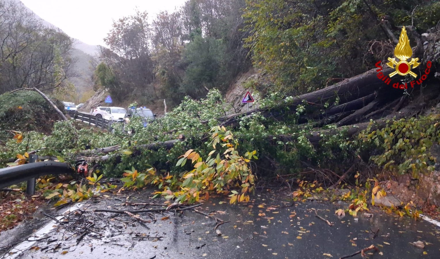 Maltempo in Liguria, il bilancio: frane, decine di alberi crollati e quattro sfollati a Calice al Cornoviglio