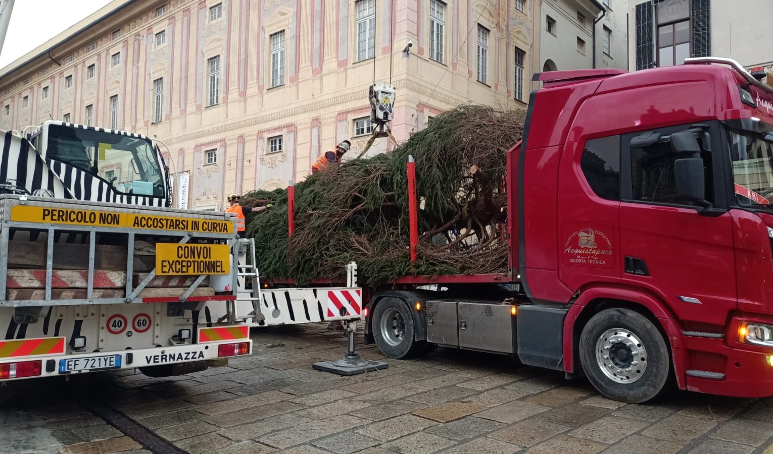 In piazza De Ferrari ecco l'albero di Natale, arriva da Centro Valle Intelvi 