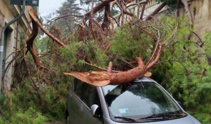 Crollo Pino a Capolungo, abitante accusa: 