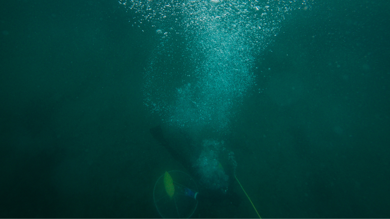 Tragedia nella acque di Portofino, muore un sub