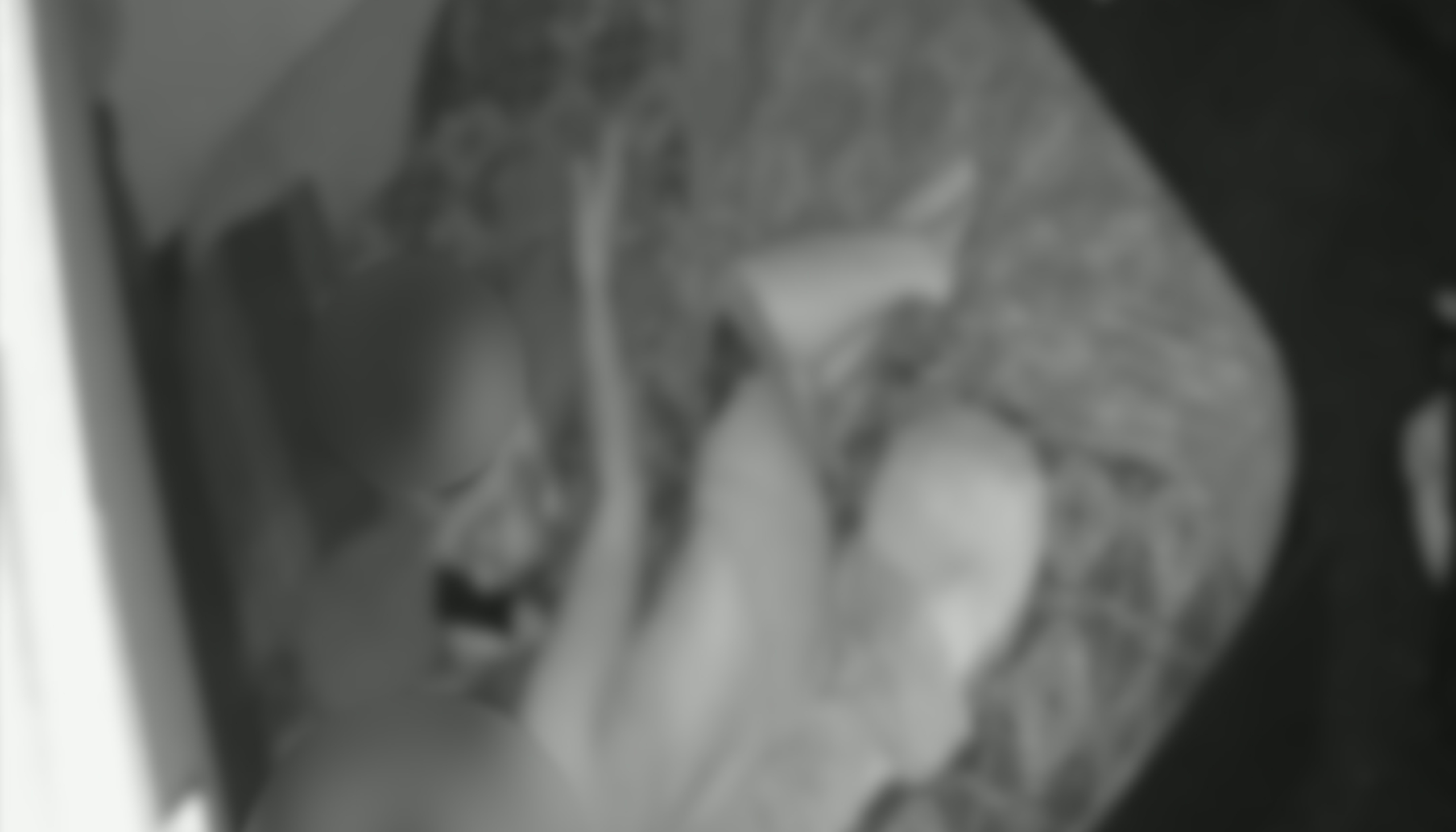 Botte ai bambini per chattare col cellulare: mamma a processo per maltrattamenti e lesioni aggravate