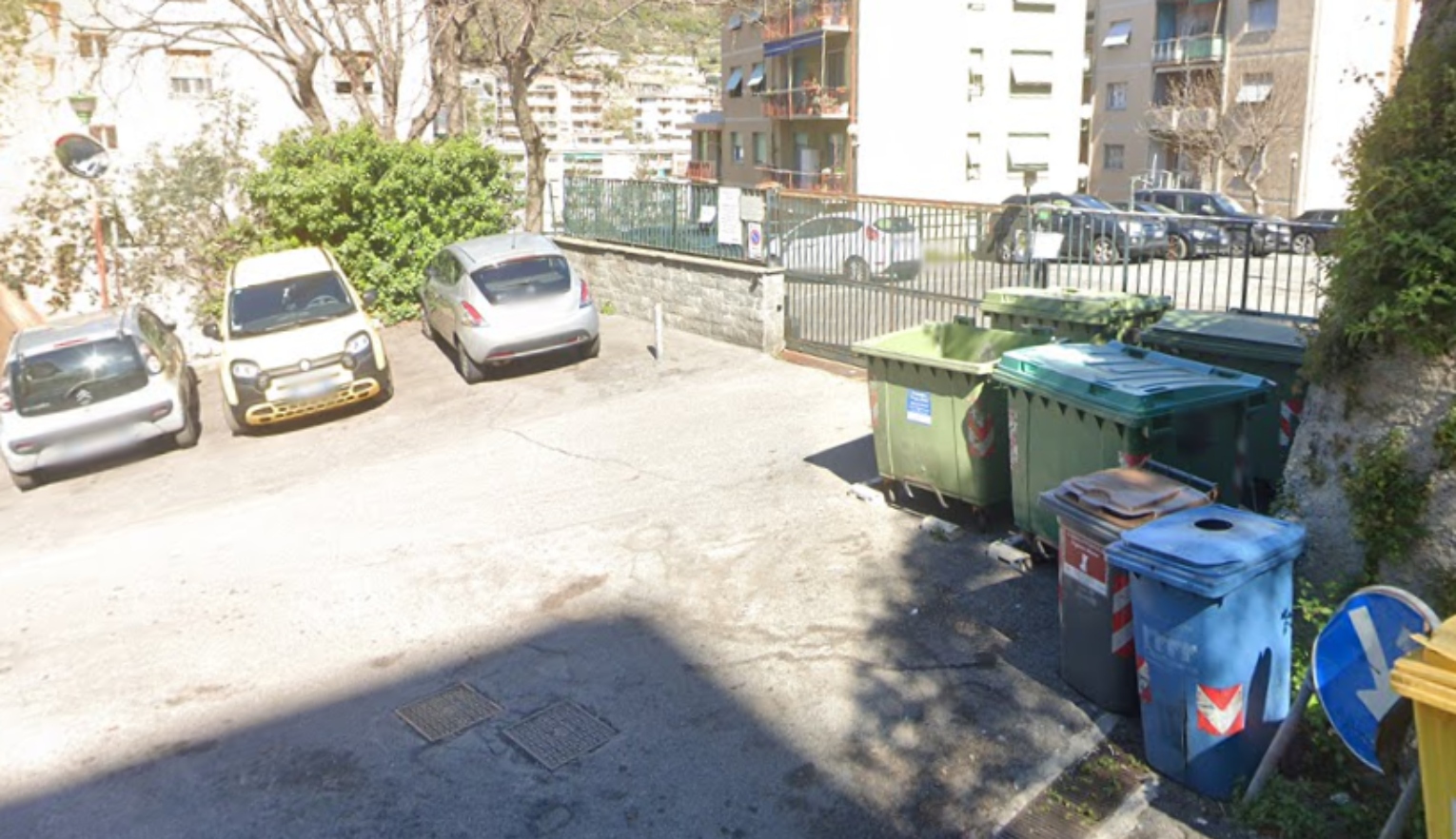 Genova, cinghiali spostano bidone che colpisce auto parcheggiate