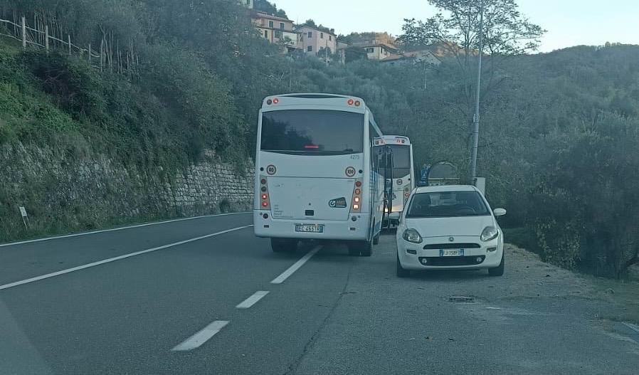Crisi Amt, in provincia continuano a saltare corse di Riccitelli. Fuga degli autisti