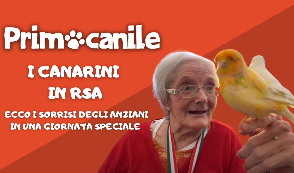 Primocanile - I canarini in Rsa e i sorrisi degli anziani