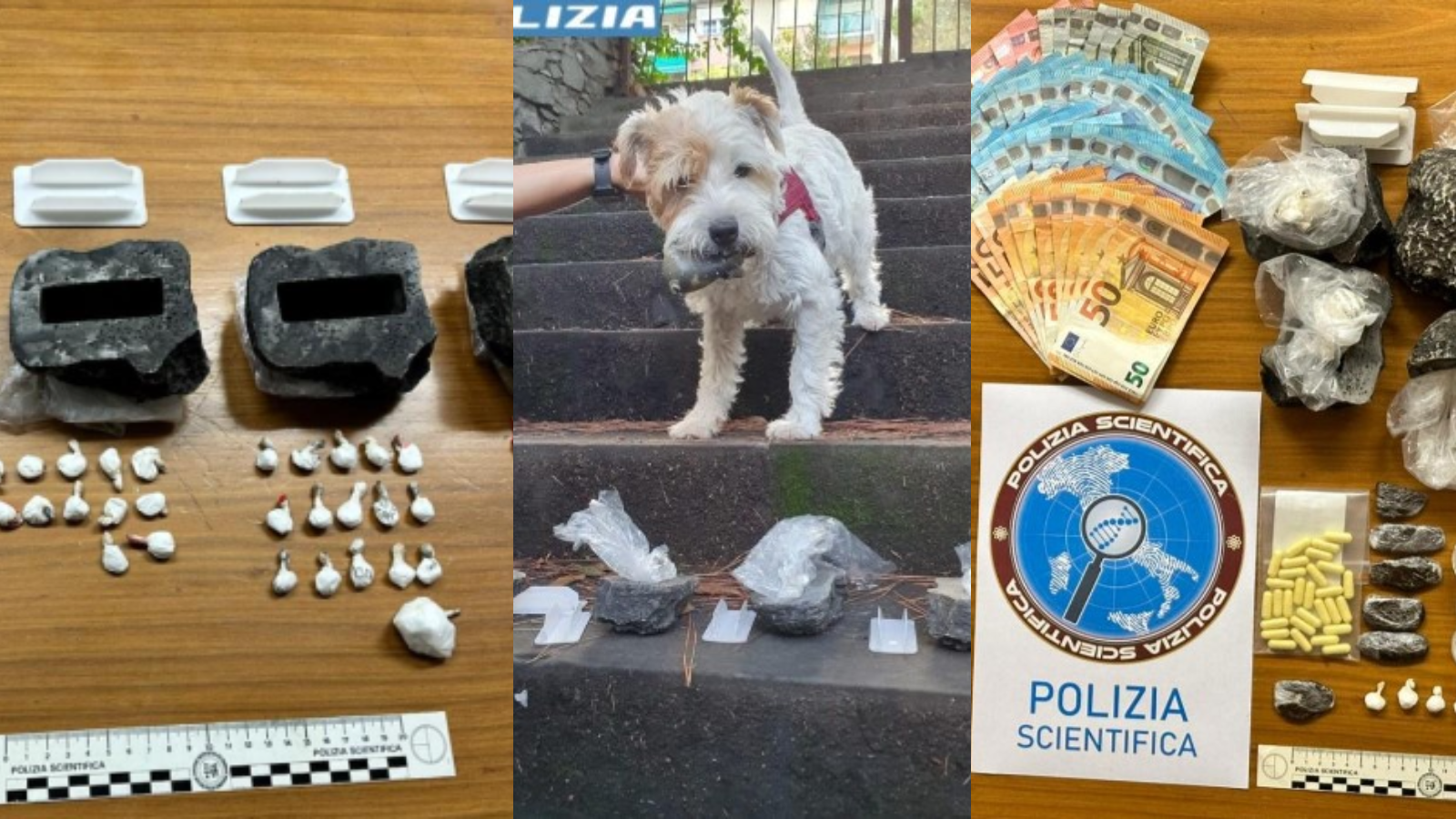 ﻿Rapallo, dosi nascoste in pietre di plastica: scoperta dal cane antidroga