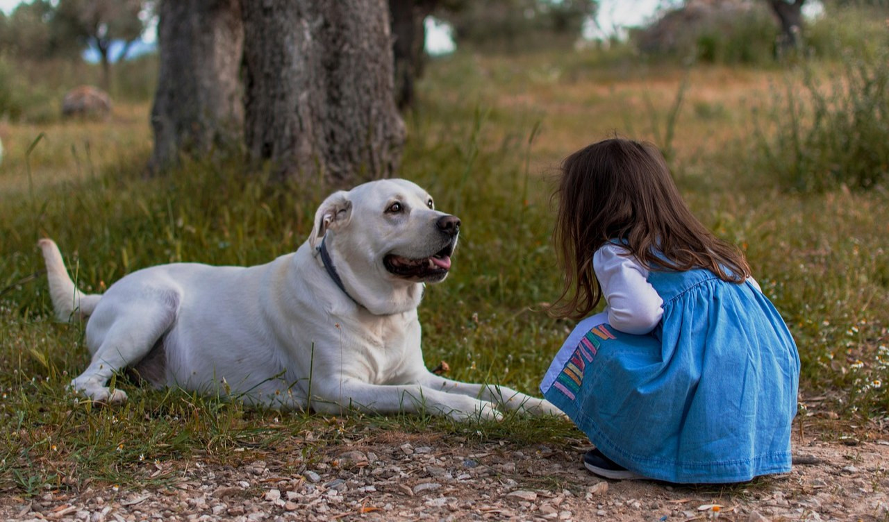 “Ben-essere interspecifico. Relazioni di cura tra uomini e animali”: il 15 novembre convegno ad Albenga