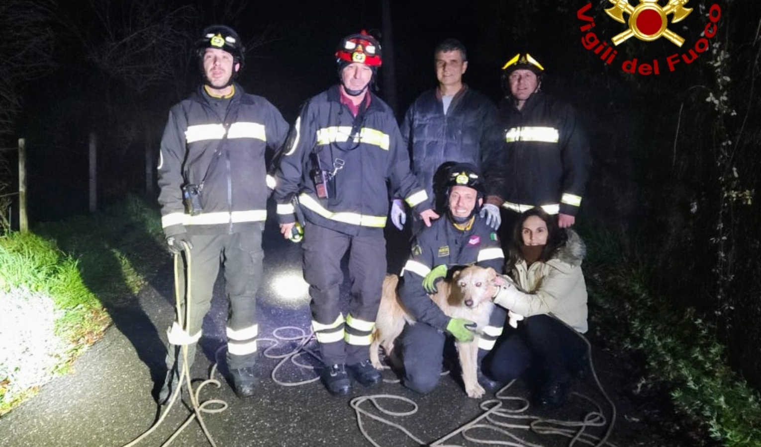 Cane finisce in un fosso a Davagna: salvato dai vigili del fuoco