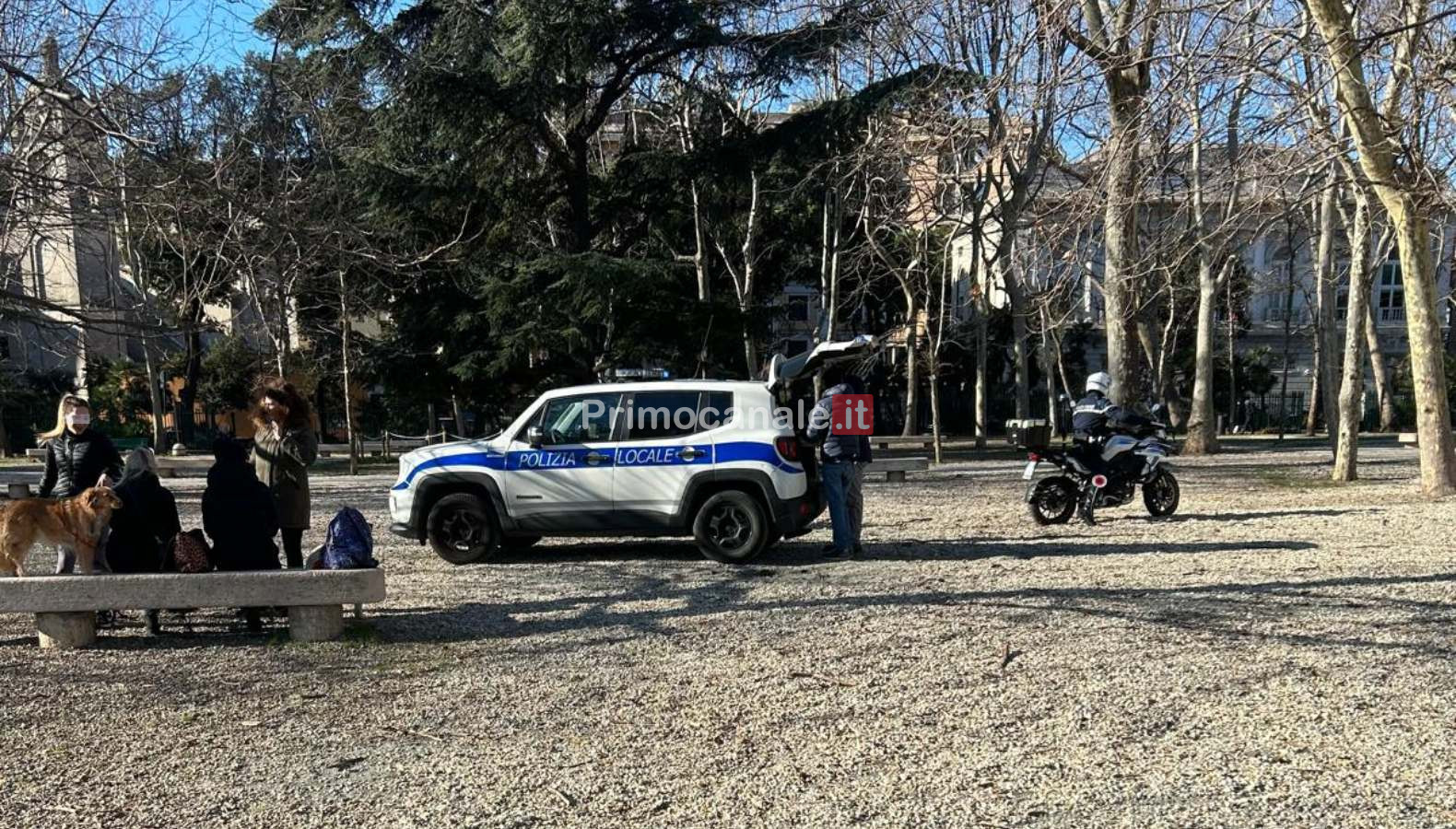 Auto della polizia locale in un parco con cani