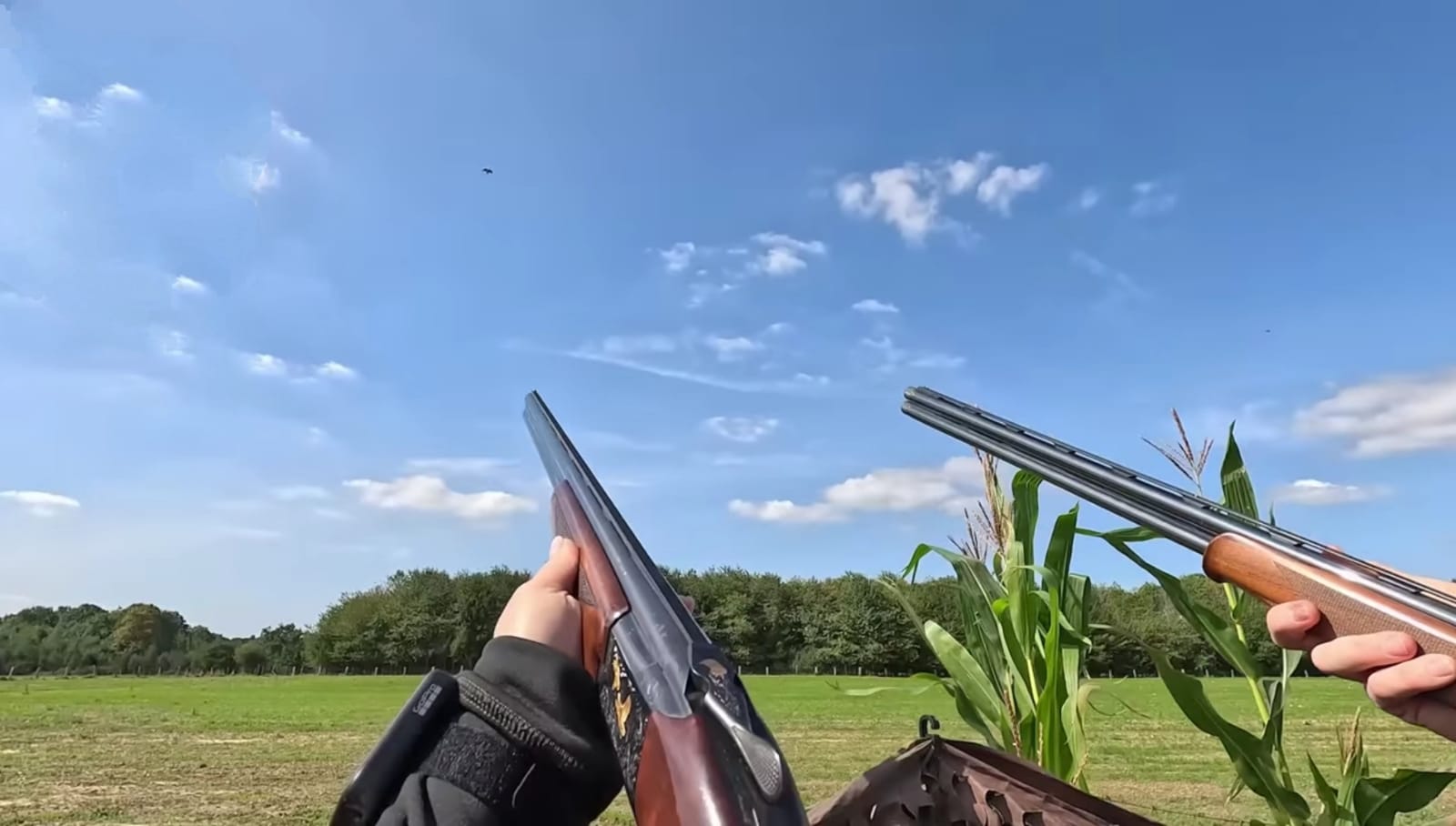 Domenica riapre la caccia a lepre e fagiano, a ottobre al cinghiale