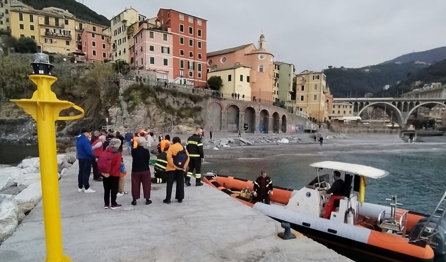 Capriolo scivola nella scogliera sotto al cimitero di Sori e rimane bloccato 