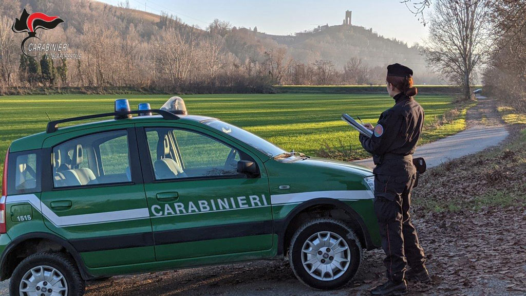 Fiamme sul monte Faudo, arrestato il piromane recidivo