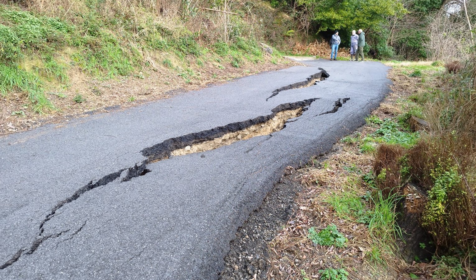 Maltempo, in Liguria frane e alberi crollati: ecco il bilancio