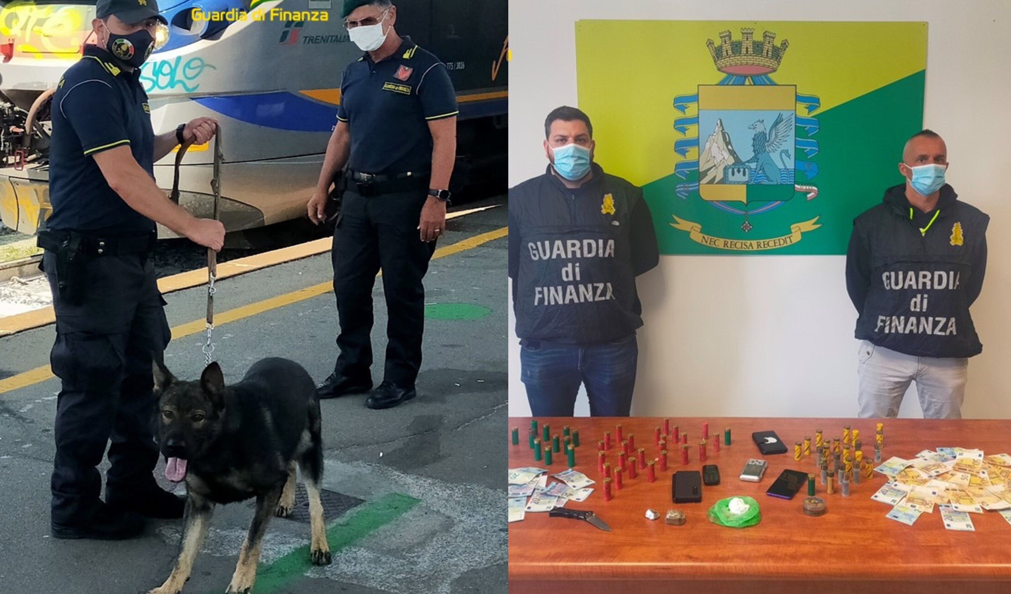 Perquisizione in casa, il cane antidroga Ikar trova hashish e cocaina