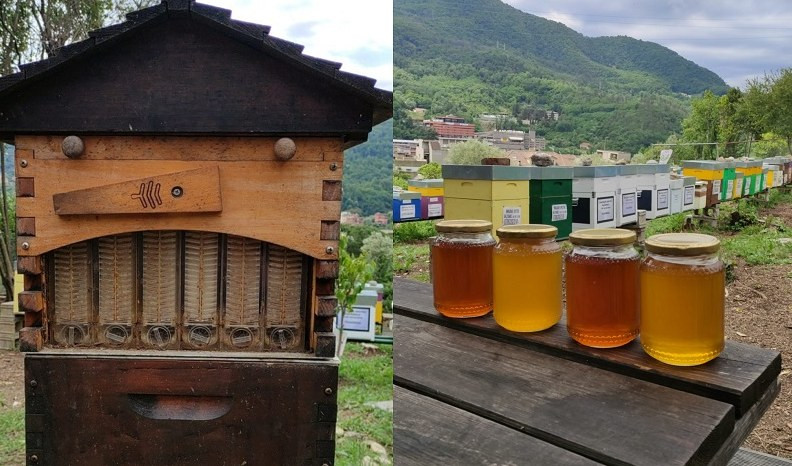 Genova, all'apiario di Struppa si produce anche il miele....alla spina