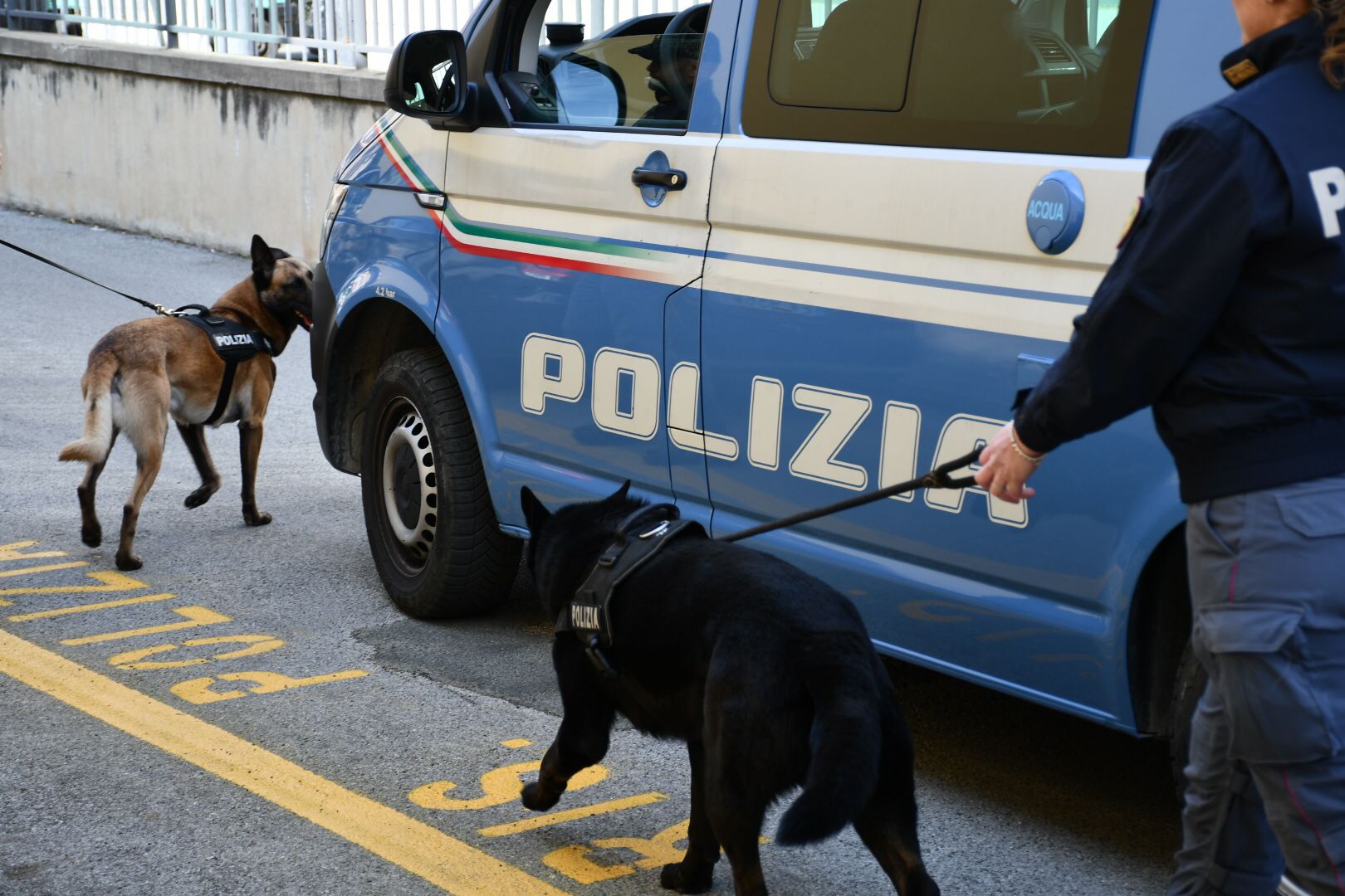 Fermano un furgone perché l'autista sembrava agitato: tra i sedili 3 chili di cocaina