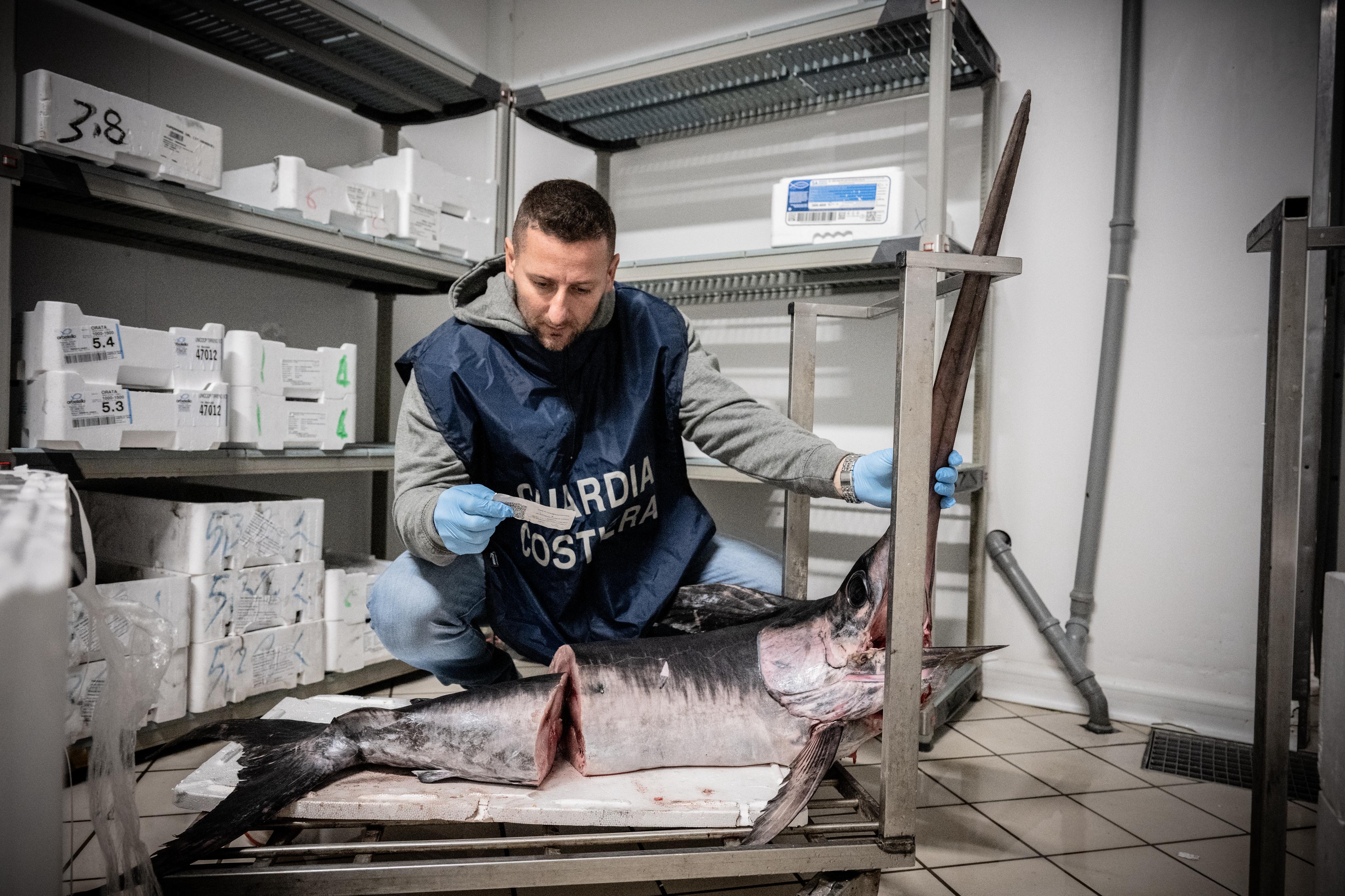 Operazione 'e-fishing' della guardia di finanza: sequestrate 31 tonnellate di pesce