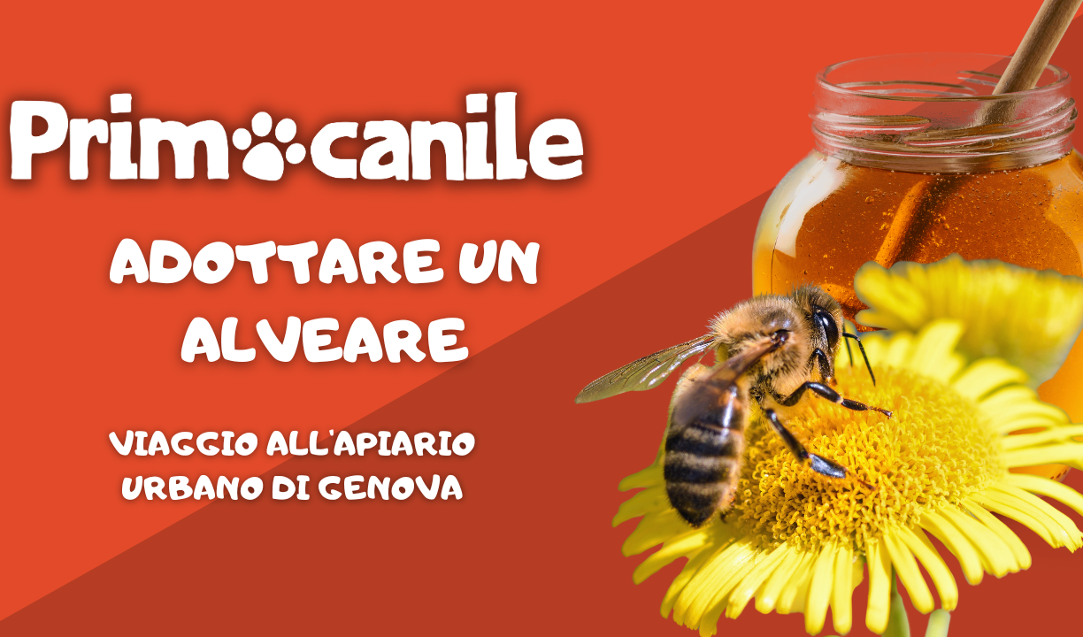 Primocanile - Adottare un alveare: viaggio all'apiario urbano di Genova