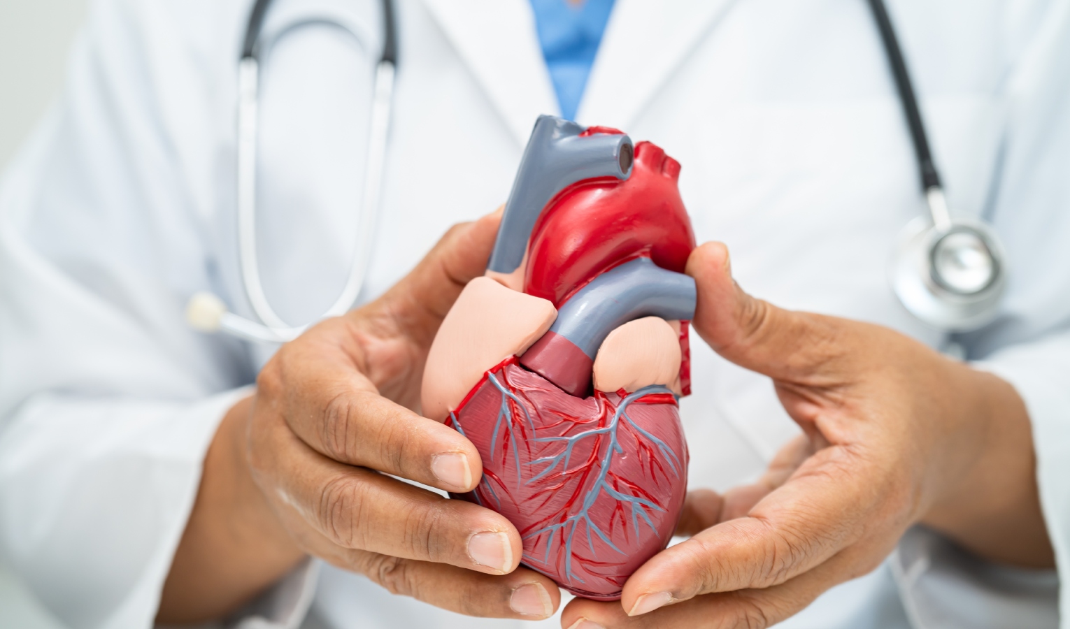 Asl3, focus sulla salute del cuore: prevenire le malattie cardiovascolari