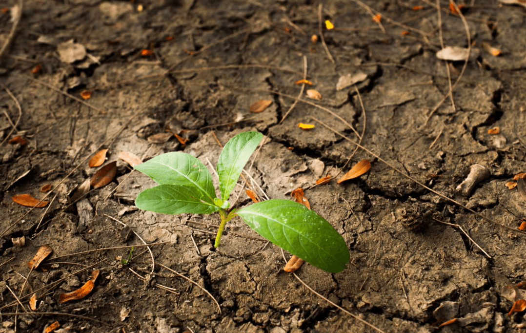 Ambiente, in Liguria biodiversità ottimale