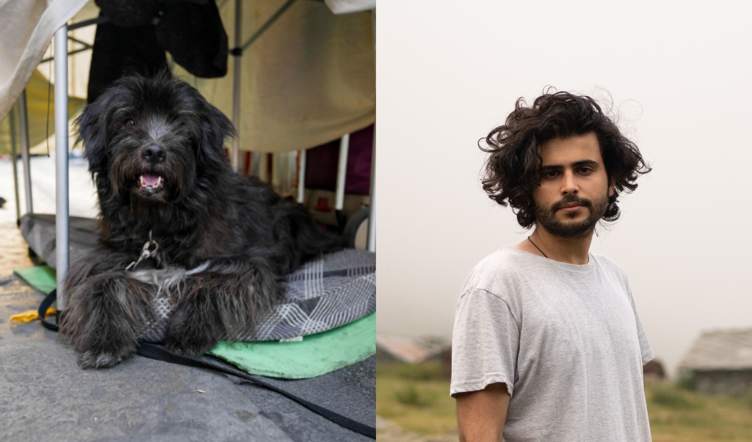 Doggodaily sbarca a Genova e racconta la storia di Pepe, il cane che aveva deciso di lasciarsi morire