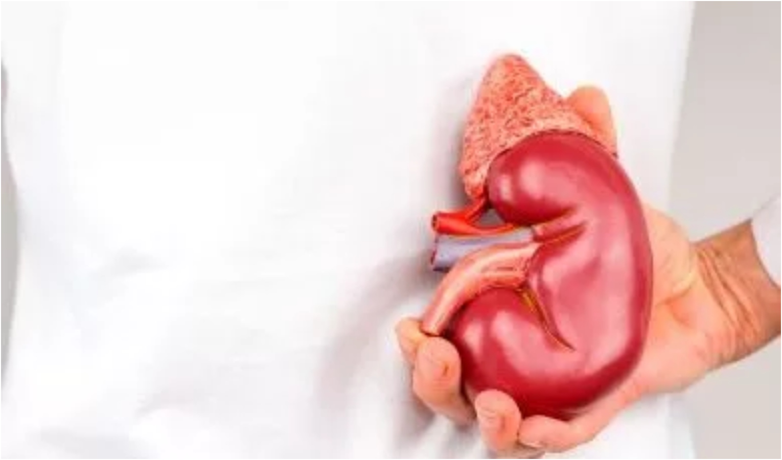 Emodialisi, cittadino ligure non residente a Genova trattato con nuova convenzione