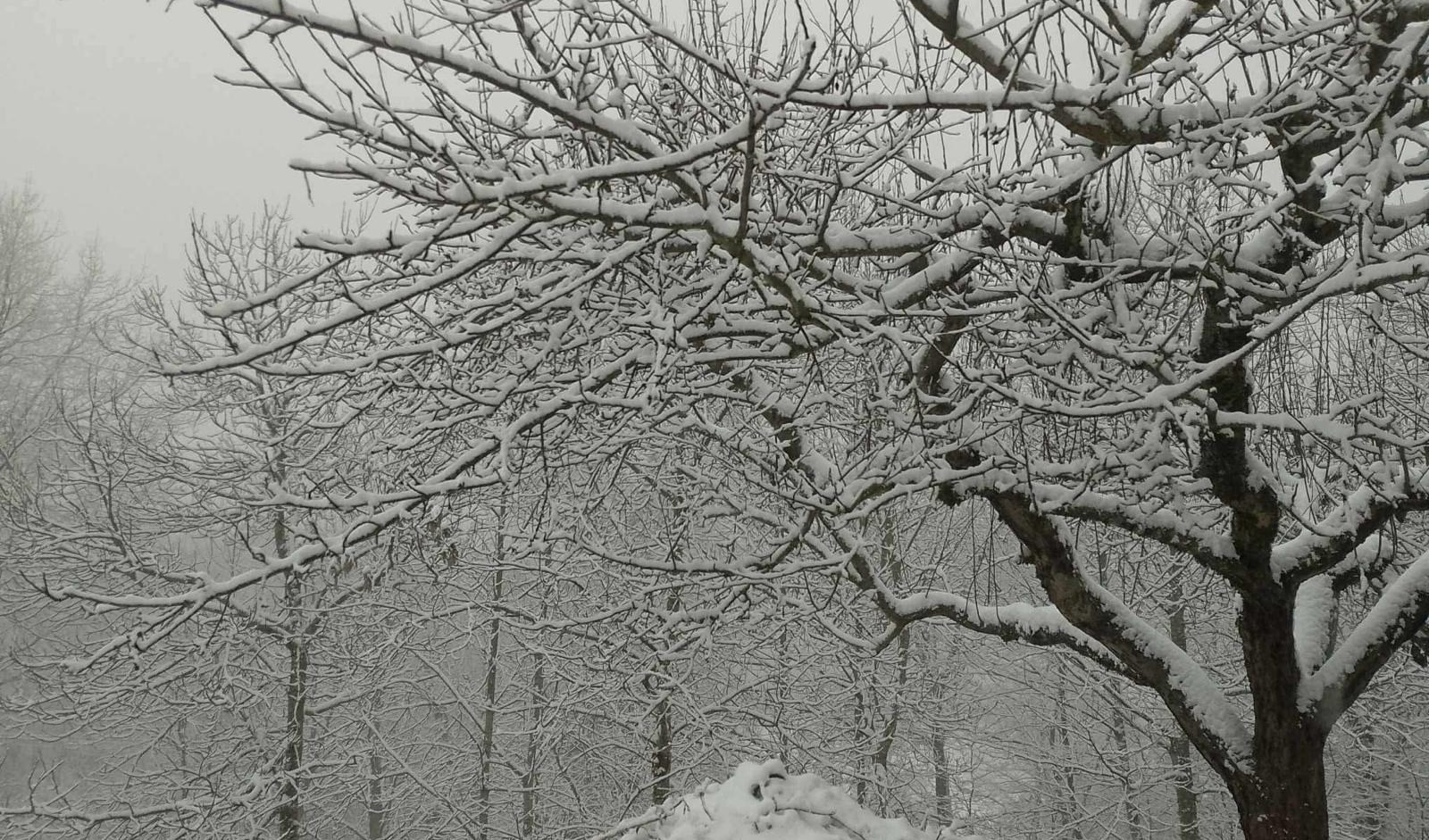 È allerta gialla per neve nell'entroterra del Ponente, a rischio A6 e A26. Possibile gelicidio