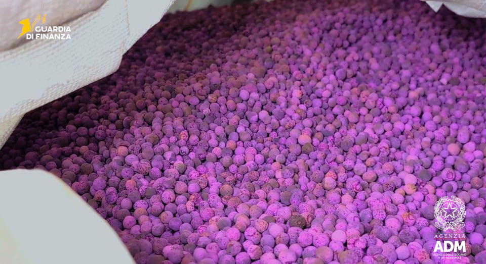 Nel porto di Genova scoperti 700 chili di permanganato, la sostanza che serve a produrre eroina e cocaina