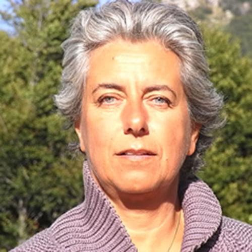 Google ci ruba il web: come le AI Overviews soffocano le fonti editoriali