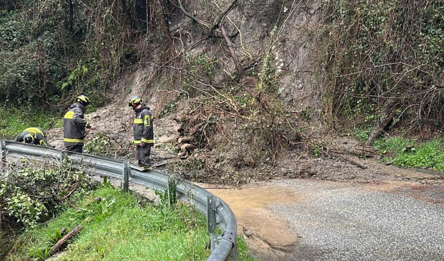 Frana su una strada con vigili del fuoco