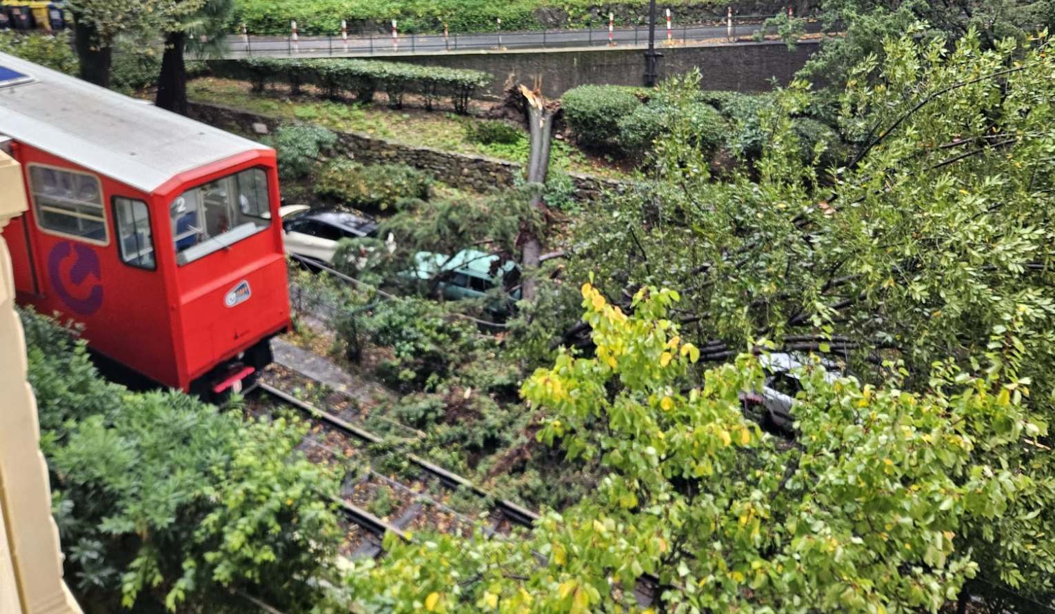 Albero crolla sulla linea della Funicolare di Sant'Anna: passeggeri bloccati
