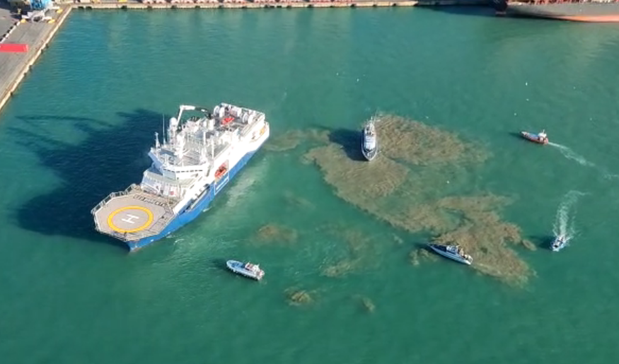 La Geo Barents attracca al porto della Spezia: le immagini dall'elicottero della Guardia di Finanza