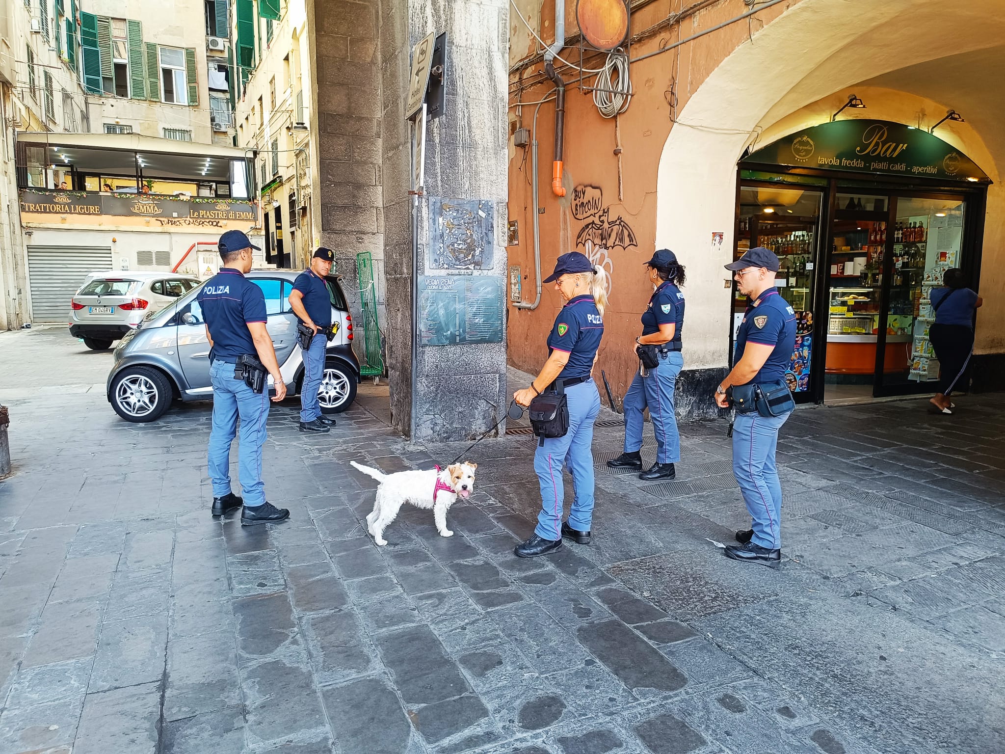 Leone, il cane poliziotto, scova stupefacenti e guida l’operazione nel centro storico di Genova