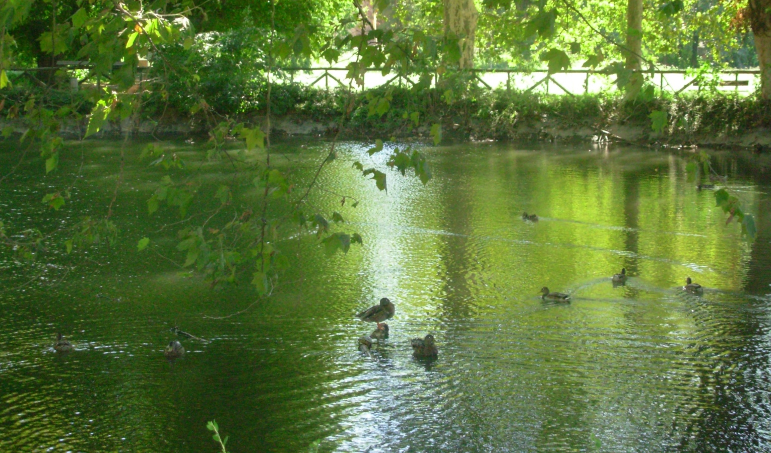 Tragedia nel Savonese, 35enne muore annegato in un lago artificiale