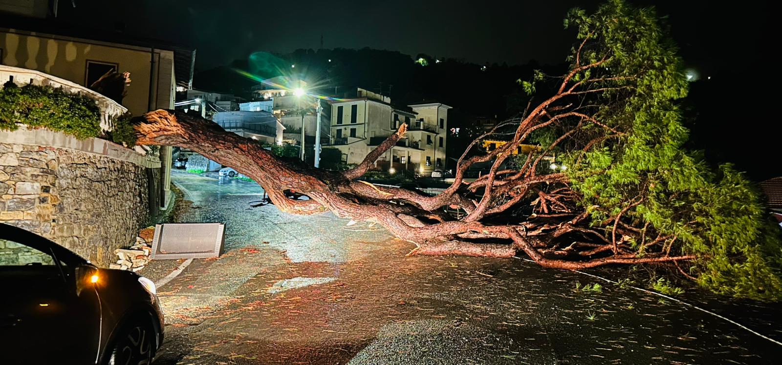 Vento oltre i 110km/h, alberi e rami crollati nello spezzino. Avviso per mareggiata: