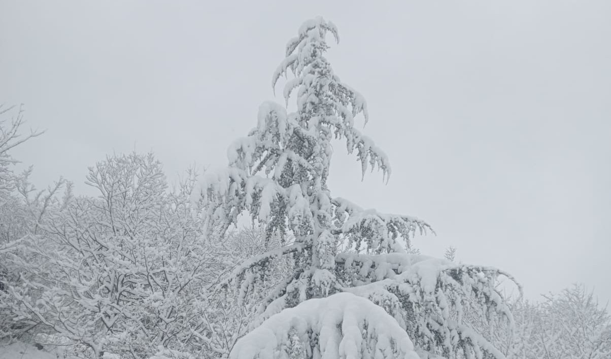 Neve, il sindaco di Bormida Galliano: 