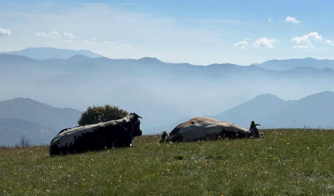 A Viaggio in Liguria il fascino delle terre di confine