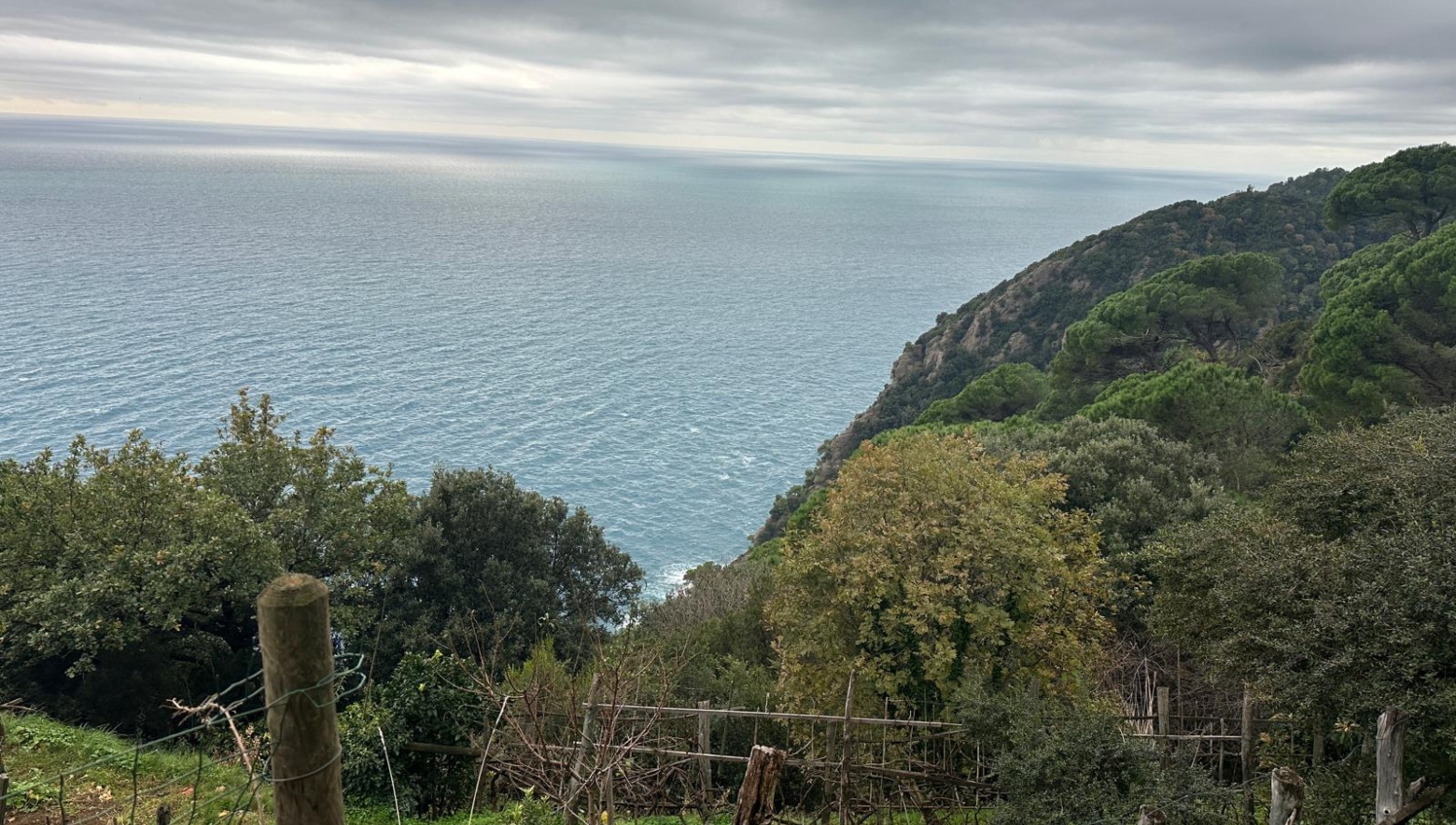 Un sentiero a picco sul mare