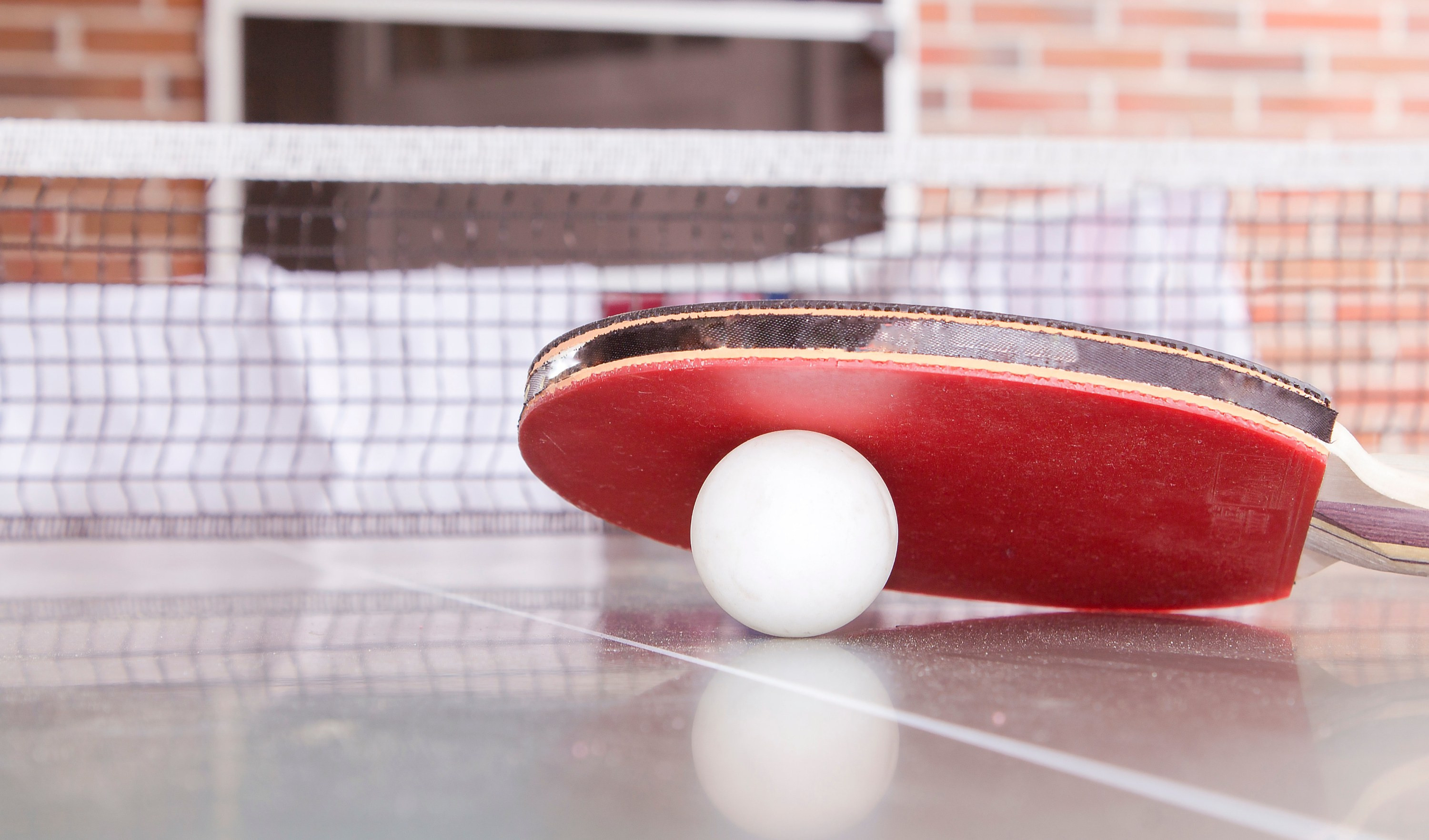 Ping pong che passione: viaggio nella palestra di Sampierdarena, fra campioncini e veterani