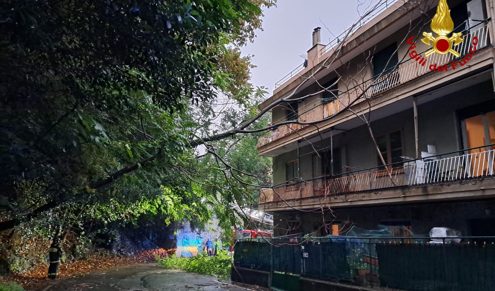 Genova, alberi caduti per la forza di pioggia e vento a Rivarolo, sfiorato un palazzo